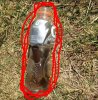 DA%_2JM2}%UITLI}S72C5`G.jpg