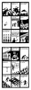 IMG_2412.PNG