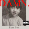 damn album cover.png
