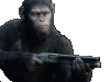 OvO4rdL.gif