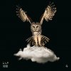 Issa (feat. Drake & Young Thug) - Single.jpg