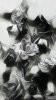 GoArt_20170722_095124_1353145216.jpg