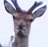20170904_235137.png