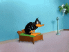 IMG_0231.GIF