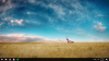 upload_2017-9-25_4-10-48.png