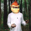 27093516.png