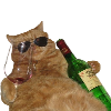 Cool cats small.png