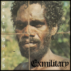 C__Data_Users_DefApps_AppData_INTERNETEXPLORER_Temp_Saved Images_Exmilitary_artwork.png