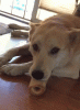 tumblr_nv3gywLbRs1r3gb3zo1_400.gif