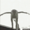 tenor-1.gif