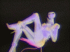 tumblr_n56a8nBiwq1tyxb0do1_400.gif