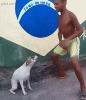 146715942341.gif