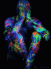 source.gif
