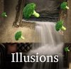 illusions 2.jpg