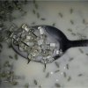 tea_collector20171205101810660.jpg