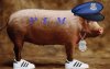 pig-tales_9780393240245-1-_333333.jpg