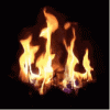 IMG_0690.GIF