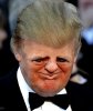 an-the-side-of-donald-trump-the-media-doesnt-want-26818341.jpg