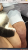 4AD2D2CD-72B1-4C79-B806-B7A2EEAD2A44.png