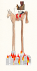 upload_2020-5-30_11-50-10.png