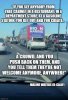 FB_IMG_1604364491270.jpg