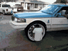 riding-the-rims.gif