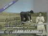 Vldt7.gif