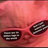 FB_IMG_1621679793136.jpg