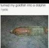 FB_IMG_1625772820274.jpg
