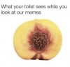 FB_IMG_1625778363366.jpg