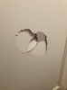 EdxMN8BUMAASNsl.png