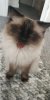 upload_2021-9-8_21-54-4.jpeg