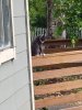 FB_IMG_1654803245606.jpg