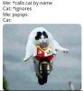 7a6.png