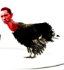 thumb_ーに-_1111【-happy-thanksgiving-fellow-stans-eminem-slimshady-stan-stanfamily-10805303.png