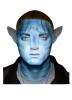 upload_2023-1-2_13-16-33.png