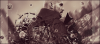 827C5F5A-D358-4976-AEE0-9B741478DA4B.png