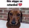 IMG_3332.jpeg