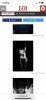 IMG_0591.png