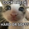 IMG_2832.jpeg