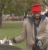 upload_2023-8-3_7-55-19.gif