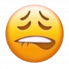upload_2023-8-5_22-9-28.png