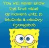 IMG_0393.jpeg