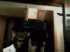 upload_2023-12-8_21-38-45.gif