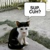 IMG_8445.jpeg