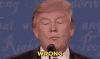 upload_2024-2-18_0-48-13.gif