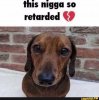 IMG_3661.jpeg