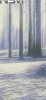 Screenshot_20240225_130613_Gallery.jpg