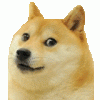 9FMFLAV.gif