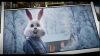 Screenshot_20240602-230909~2.png